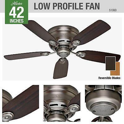 42" Hunter Low Profile -Flush Mount Indoor Ceiling Fan - 5 - Grey 5