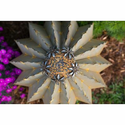 Desert Steel Large Golden Barrel Cactus with Torch Green Large 4